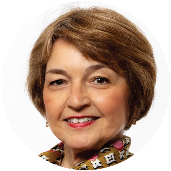 Metals under the pressure of sustainable development